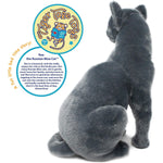 Viahart Rae The Russian Blue Cat |12 Inch Stuffed Animal Plush