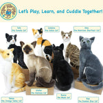 Viahart Amy The American Shorthair Cat |14 Inch Stuffed Animal Plush