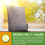 Nature Fresh Bamboo Charcoal Air Purifying Bags (4 Pack)