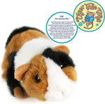 Viahart  - Tiger Tale Toys- Gigi the Guinea Pig  - Stuffed Animal