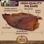 Brutus & Barnaby 100% Natural Whole Pig Ear Dog Treat